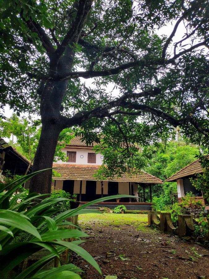 Meadows Villa Thrissur Dış mekan fotoğraf